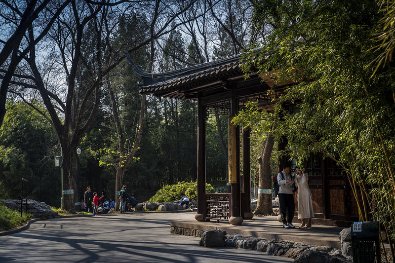 紫竹院友贤山馆      jn