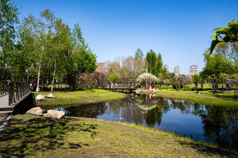 哈尔滨丁香公园随拍