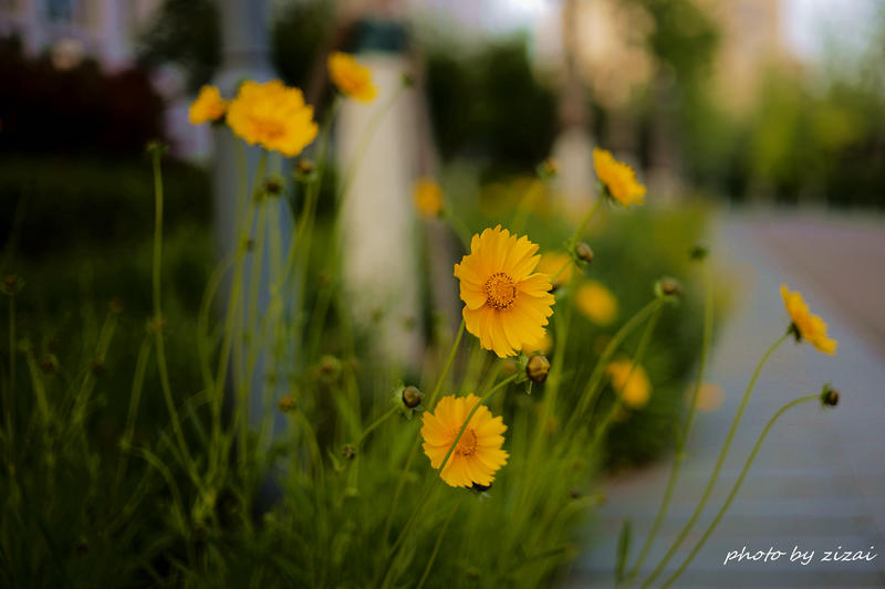 m10人懒拍得少，不定期上片做个窝......