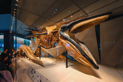 国家海洋博物馆随拍ix