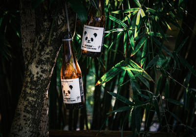 连雨不知春去 @ 一晴方觉夏深