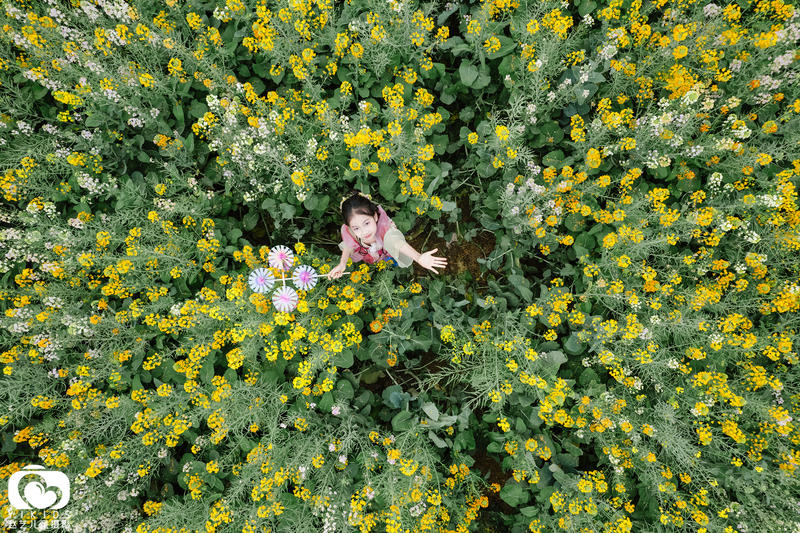 春暖花开时「油菜花汉服」。