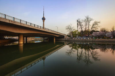 《京城春季小景-----2》