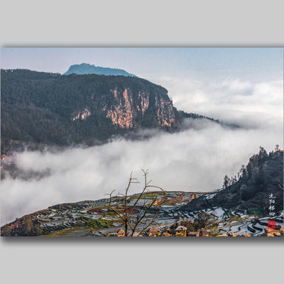 《云上梯田•元阳多依树梯田》（九）