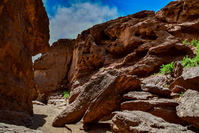 我只是把出去看到的随手记录下来（196）