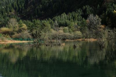 川西行的记忆：金猴海和达古冰川（中）                        fg