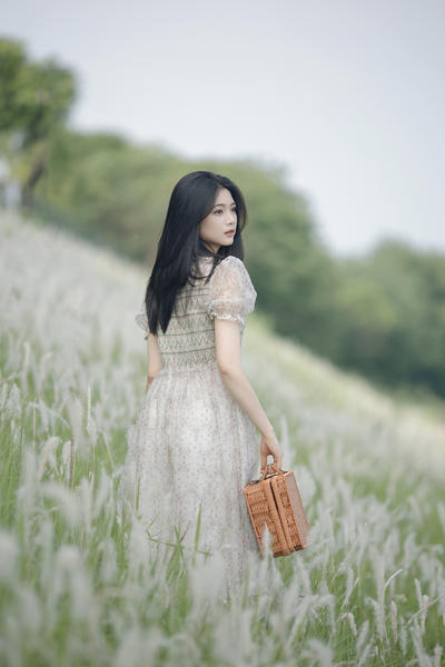 春末夏初，白茅将至