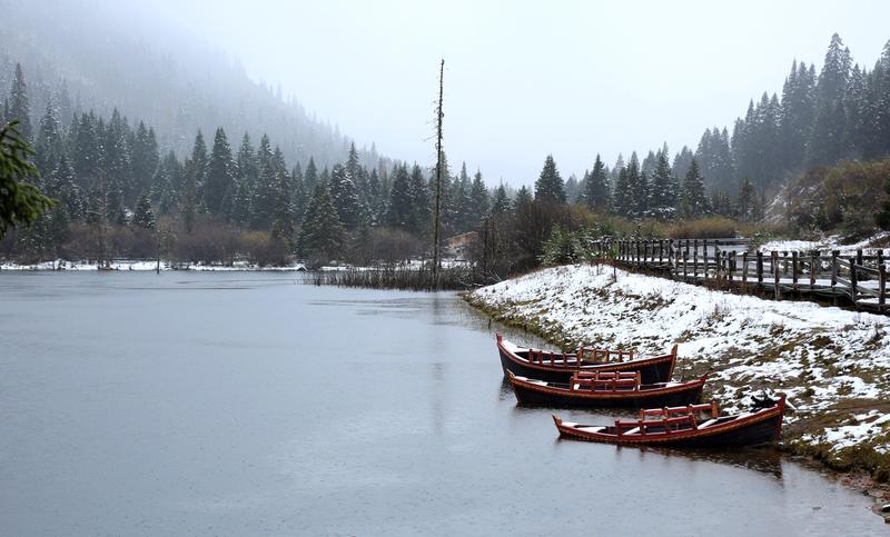 川西行的记忆：金猴海和达古冰川（下）                    al