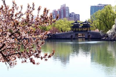 公园春景（续）——（生态