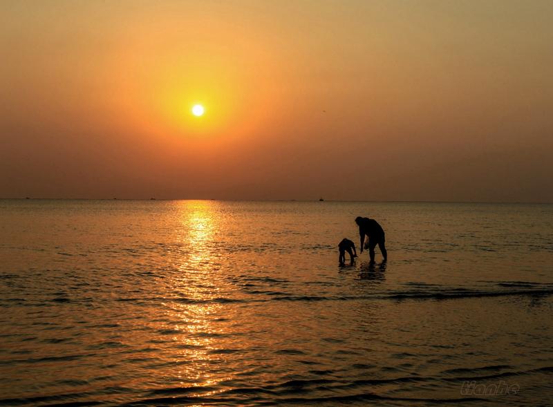 【 海 霞 】8 ◆（衡水）