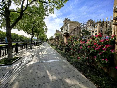 早上公园活动随拍