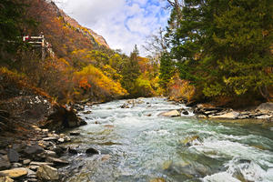 四姑娘山风光之长坪沟（下）