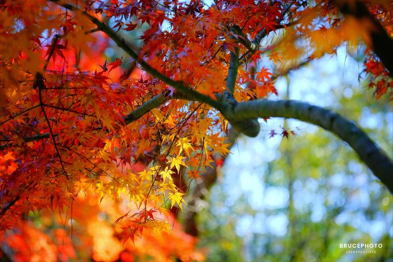 心之所系、爱之所在，是最美好的温润时光