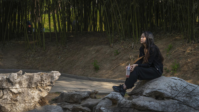 紫竹院友贤山馆--2      lk