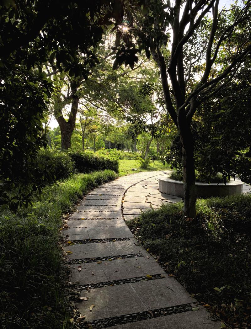 早上公园锻炼随拍