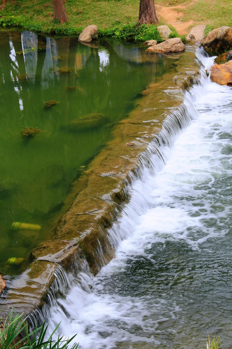 深圳中心公园随拍