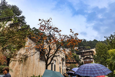 皖南行------婺源篁岭印象