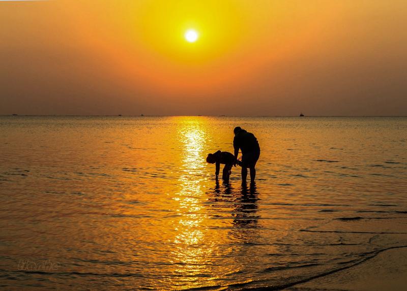 【 海 霞 】14 ◆（衡水）