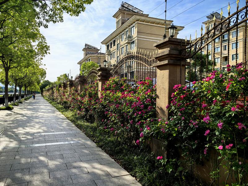 早上公园活动随拍