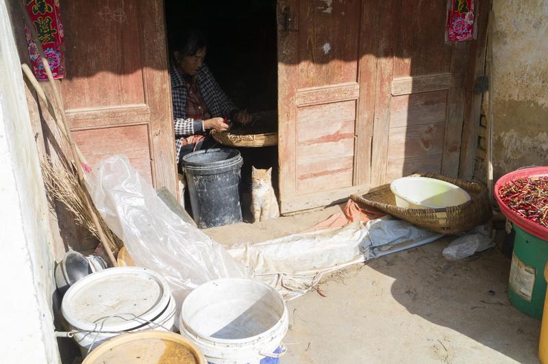 岁月静好（观念）