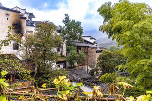 皖南行------婺源篁岭印象