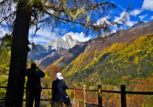 四姑娘山风光之长坪沟（下）