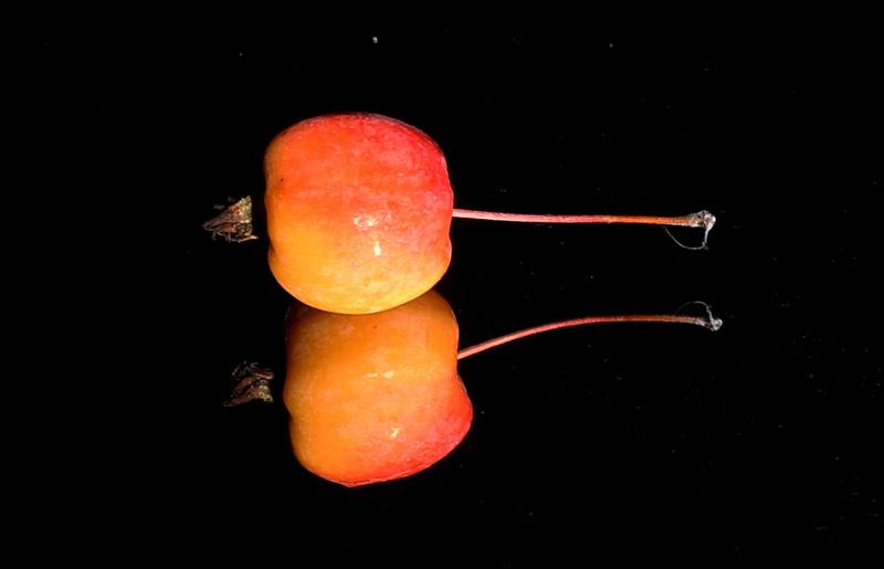 诱人的海棠果、