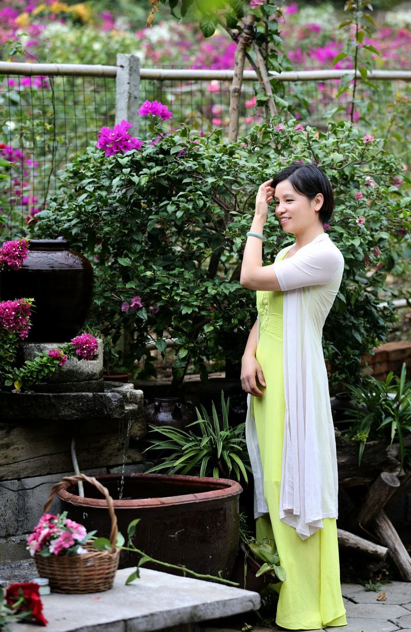 新近拍的三角梅