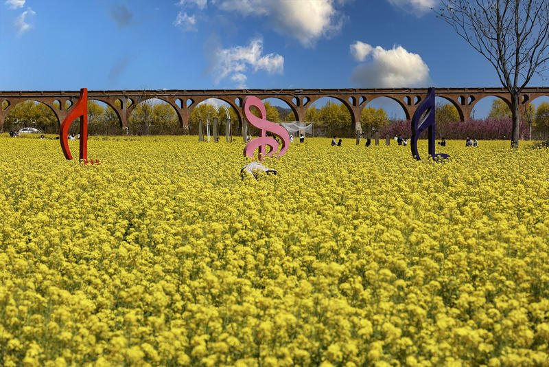 春花盛开的季节