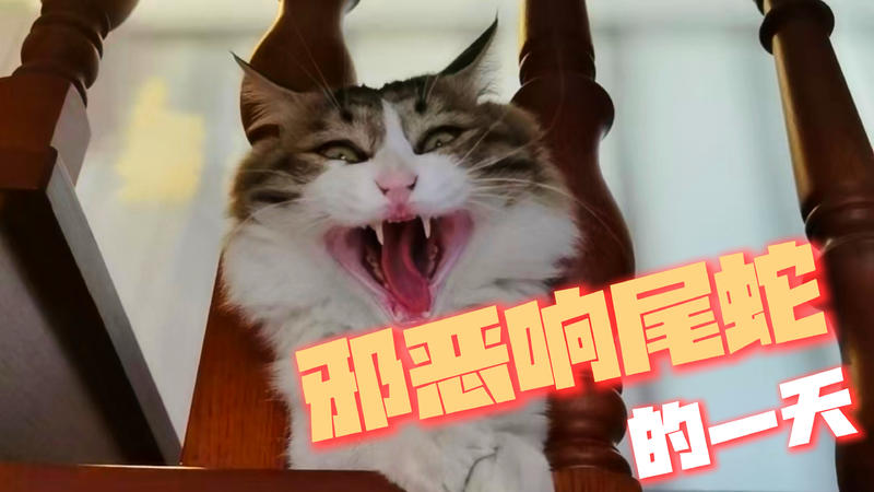 邪恶响尾蛇的一天