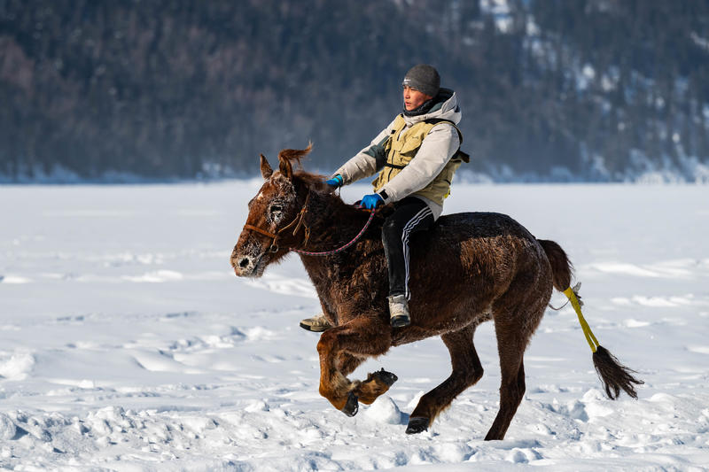我的阿勒泰——大美新疆札记