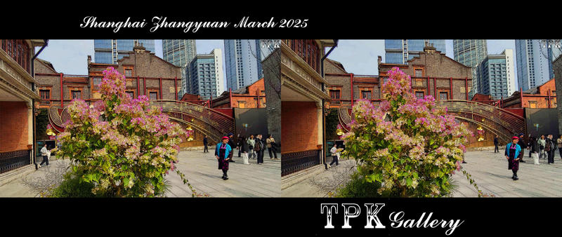 【立体摄影】250402  上海 张园（2）