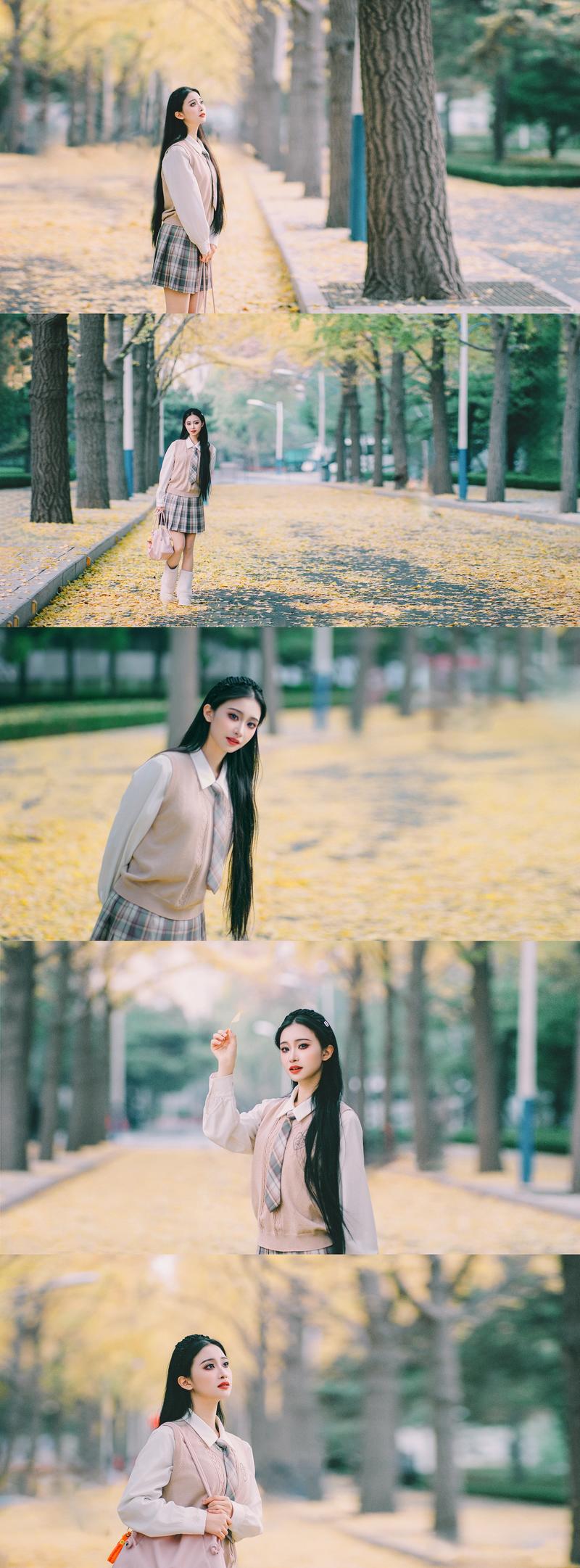 与银杏相遇的浅冬