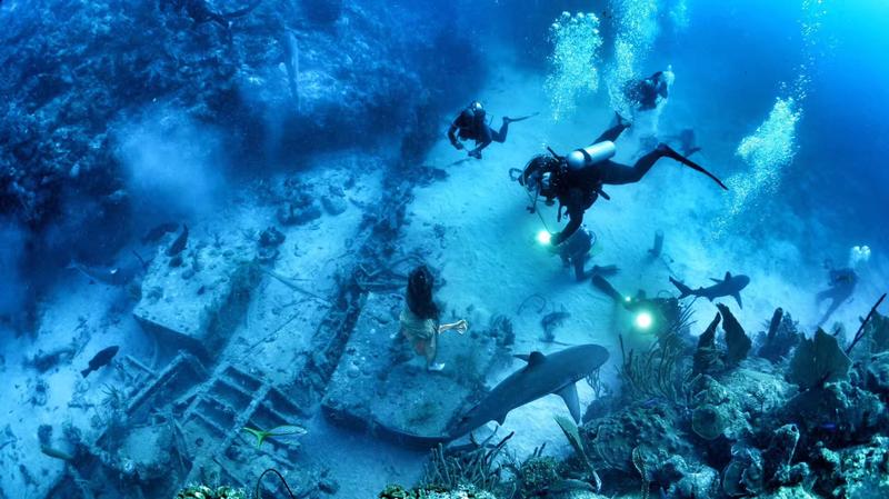 爱潜水也爱摄影