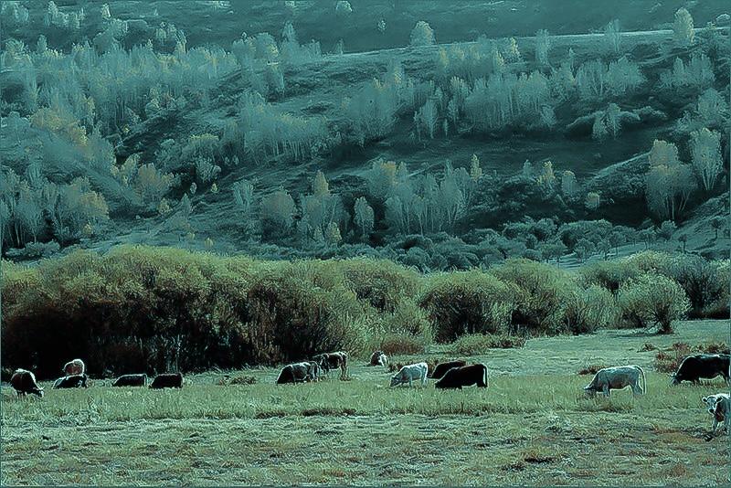 月与灯依旧 /泪湿春衫袖。