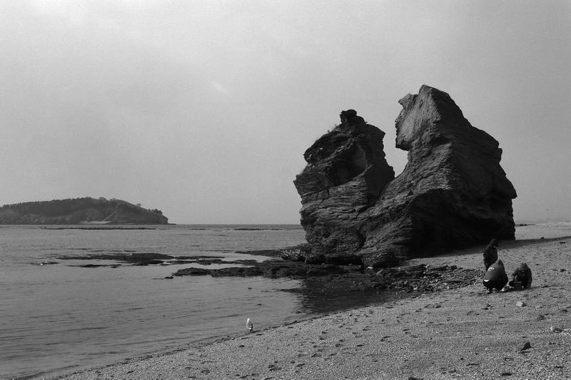 不能总在那吃灰。