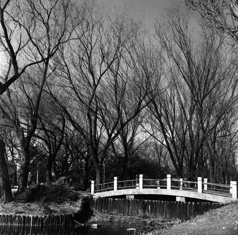 基辅88闲逛海淀公园