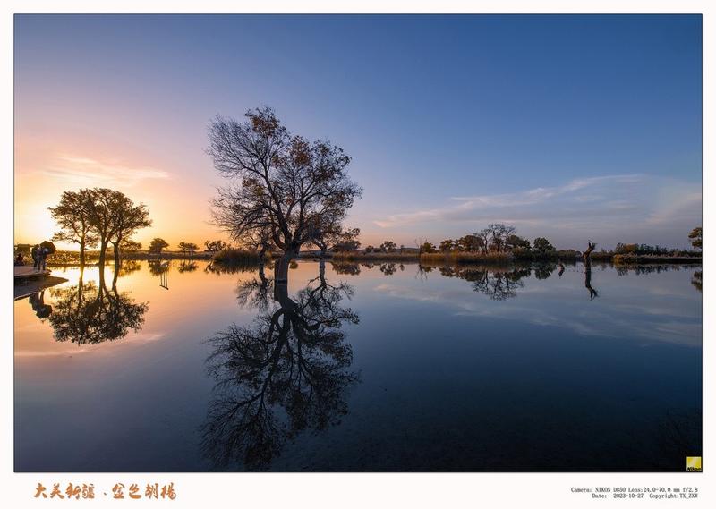 大美新疆.金色胡杨