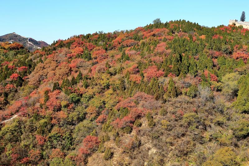 重阳登高赏秋色(5)
