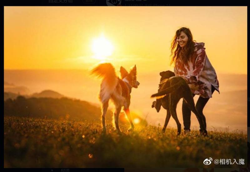 2022年度狗狗摄影大赛获奖作品选登