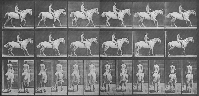 十九世纪摄影欣赏【4500p】