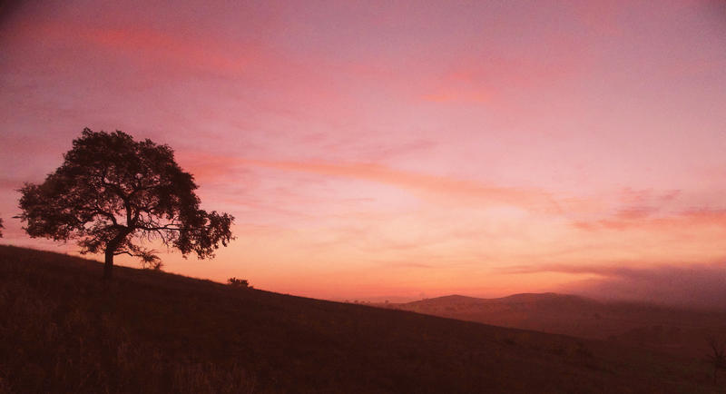 天堂草原-我心灵的栖息地