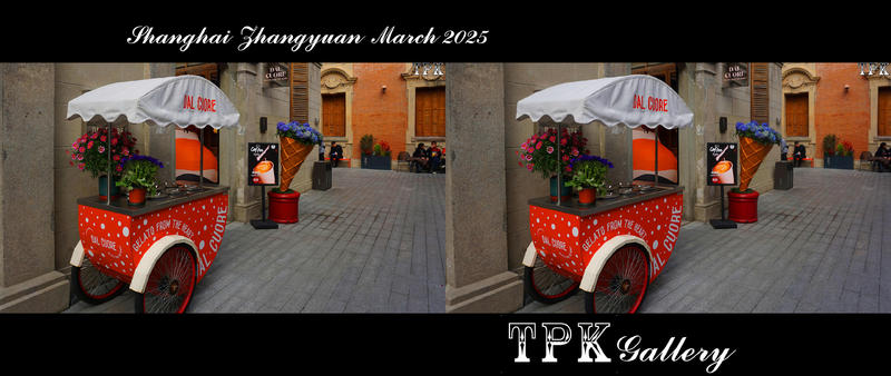 立体摄影 上海 张园  250327