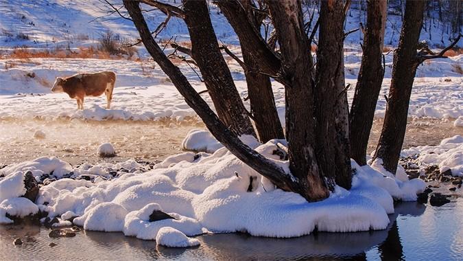 协调滤镜 - ps2022神经网络滤镜协调滤镜 - 后期强