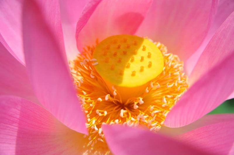 技术、光线与器材