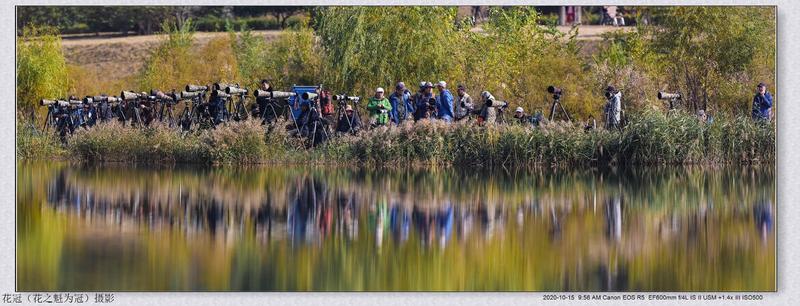 这场面那是相当的震撼（套用小品的台词），等待拍摄大鹗摄友们之一、二、三、四、五。