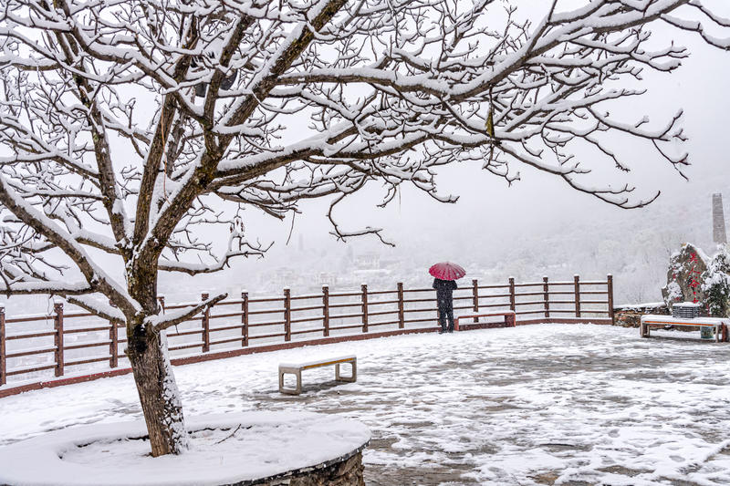 美人谷、守候〔单反〕