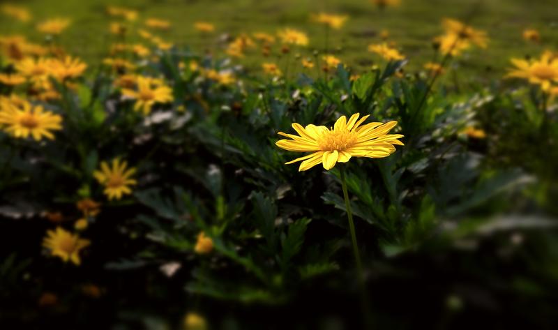 因为特别所以不群(摄影学院)