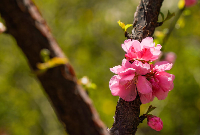 五一劳动节快乐 旅游随手拍 游正阳书局