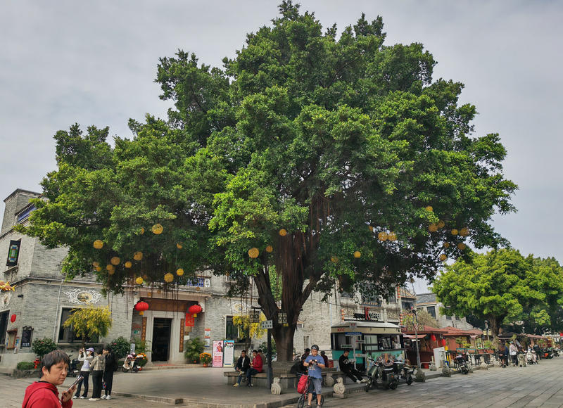 沙湾古镇的微风-------------------------